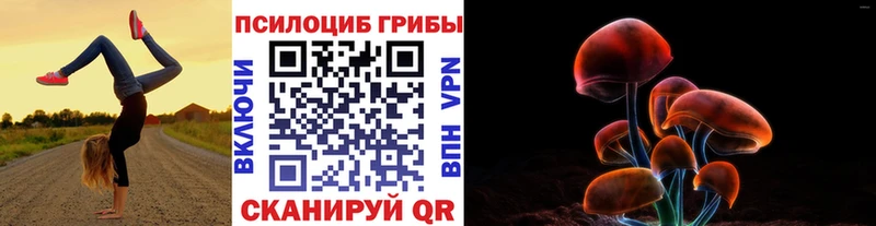 купить сайты Духовщина Псилоцибиновые грибы GOLDEN TEACHER